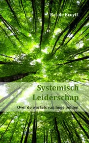 Omslag van Systemisch leiderschap