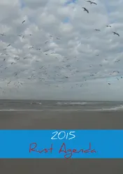 Omslag van 2015
