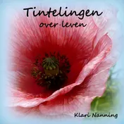 Omslag van Tintelingen