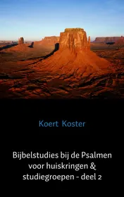 Omslag van Bijbelstudies bij de Psalmen voor huiskringen & studiegroepen - deel 2