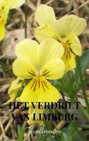 Omslag van Het verdriet van Limburg