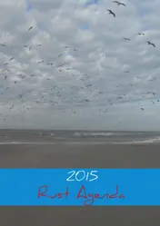 Omslag van 2015