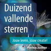Omslag van Duizend vallende sterren