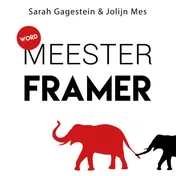 Omslag van Word meesterframer