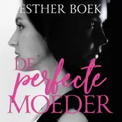 Omslag van De perfecte moeder