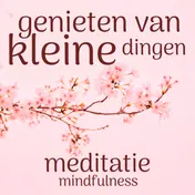 Omslag van Genieten van de kleine dingen