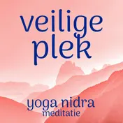 Omslag van Veilige plek