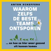 Omslag van Waarom zelfs de beste teams ontsporen