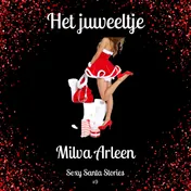 Omslag van Kerst: Het juweeltje