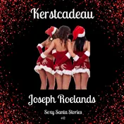 Omslag van Kerst: Kerstcadeau
