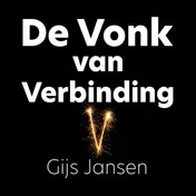 Omslag van De Vonk van verbinding