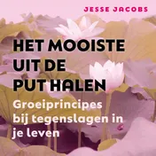 Omslag van Het mooiste uit de put halen