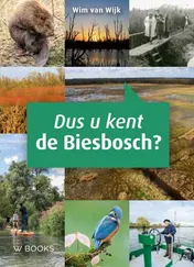 Omslag van Dus u kent de Biesbosch
