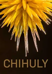 Omslag van Chihuly