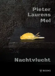 Omslag van Pieter Laurens Mol. Nachtvlucht
