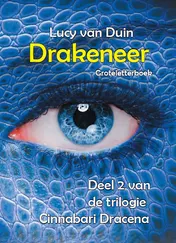 Omslag van Drakeneer - Groteletterboek 1 band