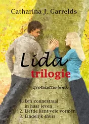 Omslag van Lida trilogie