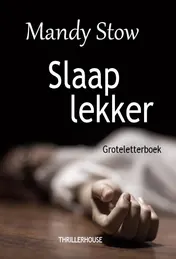 Omslag van Slaap lekker - Groteletterboek