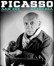 Omslag van Picasso aan Zee / by the beach
