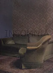 Omslag van Insomnia - Annabel Oosteweeghel