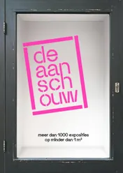 Omslag van De Aanschouw