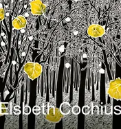 Omslag van Elsbeth Cochius