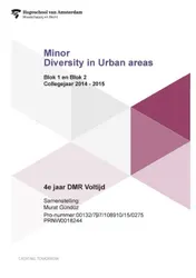 Omslag van Blok 1 en blok 2; Collegejaar 2014-2015; 4e jaar DMR voltijd