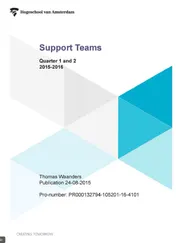 Omslag van Support teams