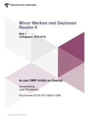 Omslag van Minor werken met gezinnen reader II