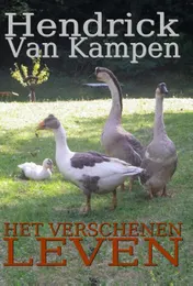 Omslag van Het verschenen leven