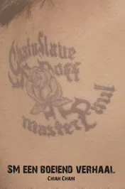 Omslag van SM, een boeiend verhaal