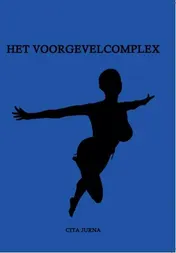 Omslag van Het voorgevelcomplex