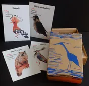 Omslag van Vogelkwartet
