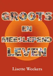 Omslag van Groots en meeslepend leven