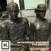 Omslag van De openbare geheimen van Hasselt