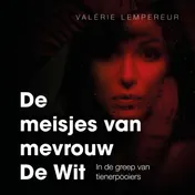 Omslag van De meisjes van mevrouw de Wit