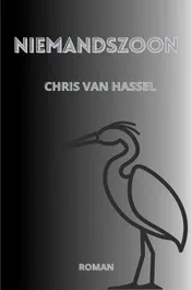 Omslag van Niemandszoon