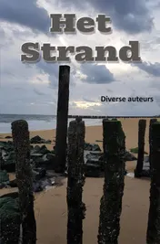 Omslag van Het strand
