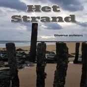 Omslag van Het strand