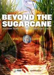 Omslag van Beyond The Sugarcane