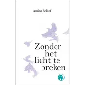 Omslag van Zonder het licht te breken
