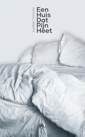 Omslag van Een huis dat pijn heet