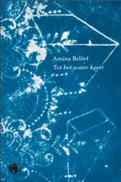 Omslag van Tot het water keert