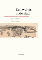 Omslag van Een walvis in de stad
