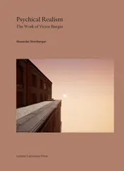 Omslag van Psychical Realism