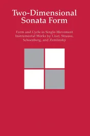 Omslag van Two-Dimensional Sonata Form