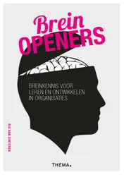 Omslag van Breinopeners