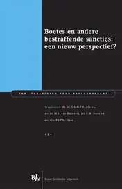 Omslag van Boetes en andere bestraffende sancties: een nieuw perspectief?