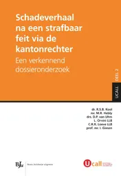 Omslag van Schadeverhaal na een strafbaar feit via de kantonrechter
