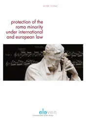 Omslag van Protection of the Roma minority under international and European law